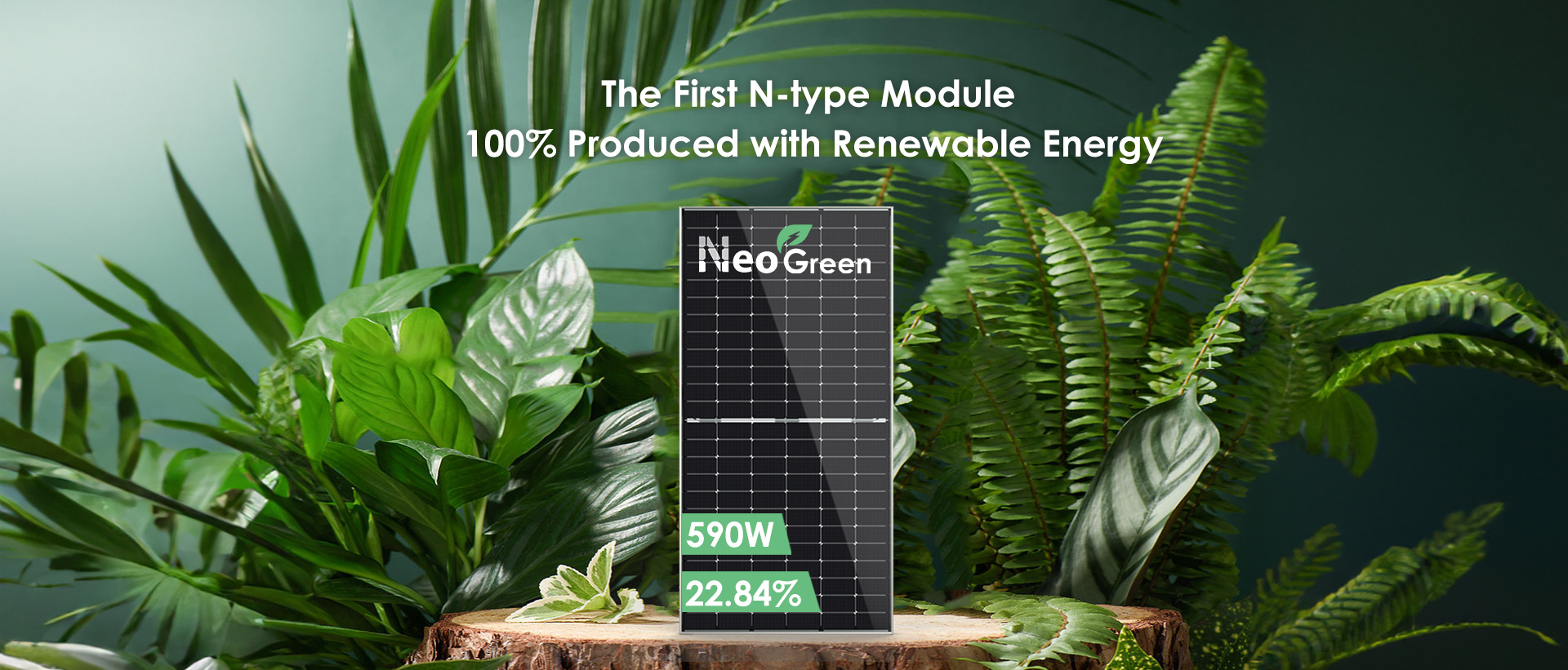 �ͼ����֡�H88(�й���)���鲩�����